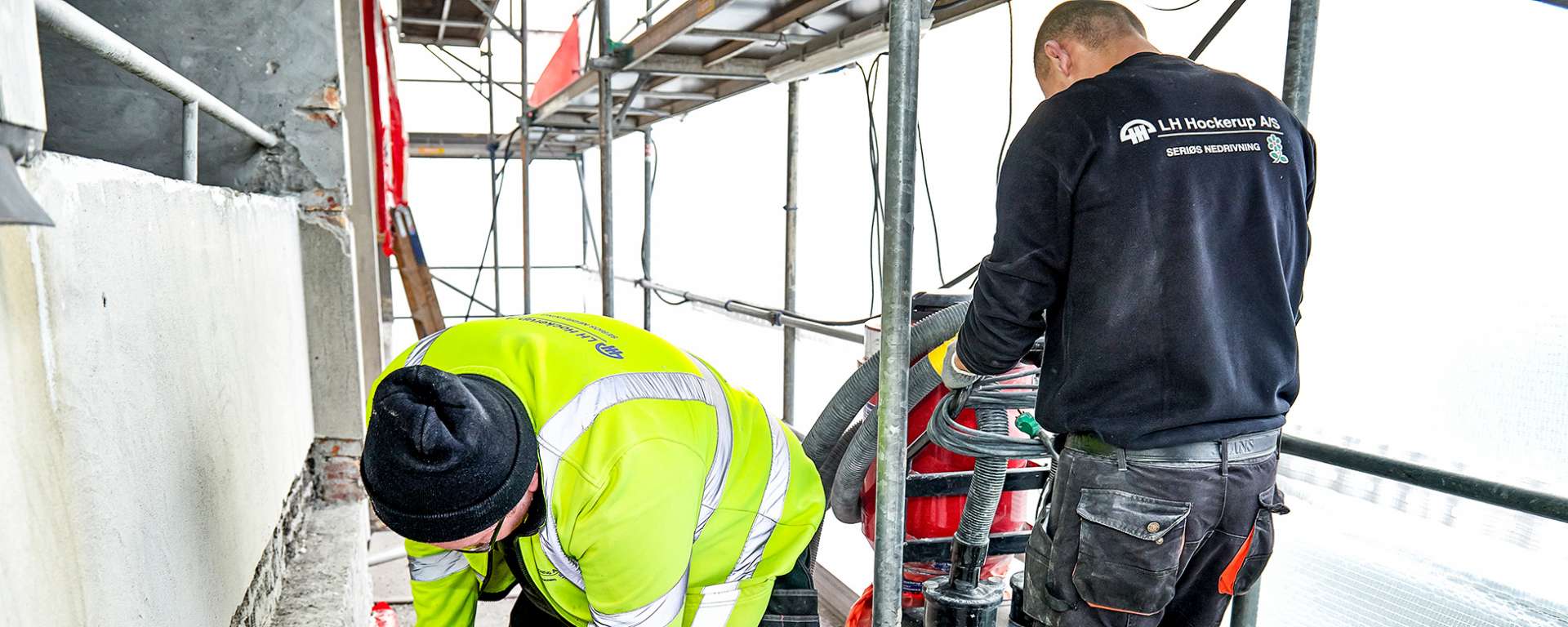 skimmelsvamp skimmelsvamp